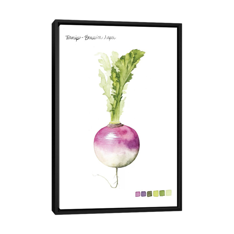 «Root Légume VI», impression sur toile, H 26 po x l 18 po x P 1,5 po, Pas de tapis, Toile avec cadre noir