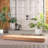 Feazell Solid Teak Lounger