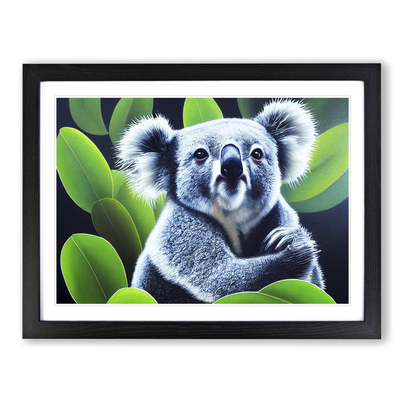 Koala Bear - Single Picture Frame Print, Black, 34cm H x 46cm W x 2cm D