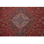 Traditional   Large Rug 10x16