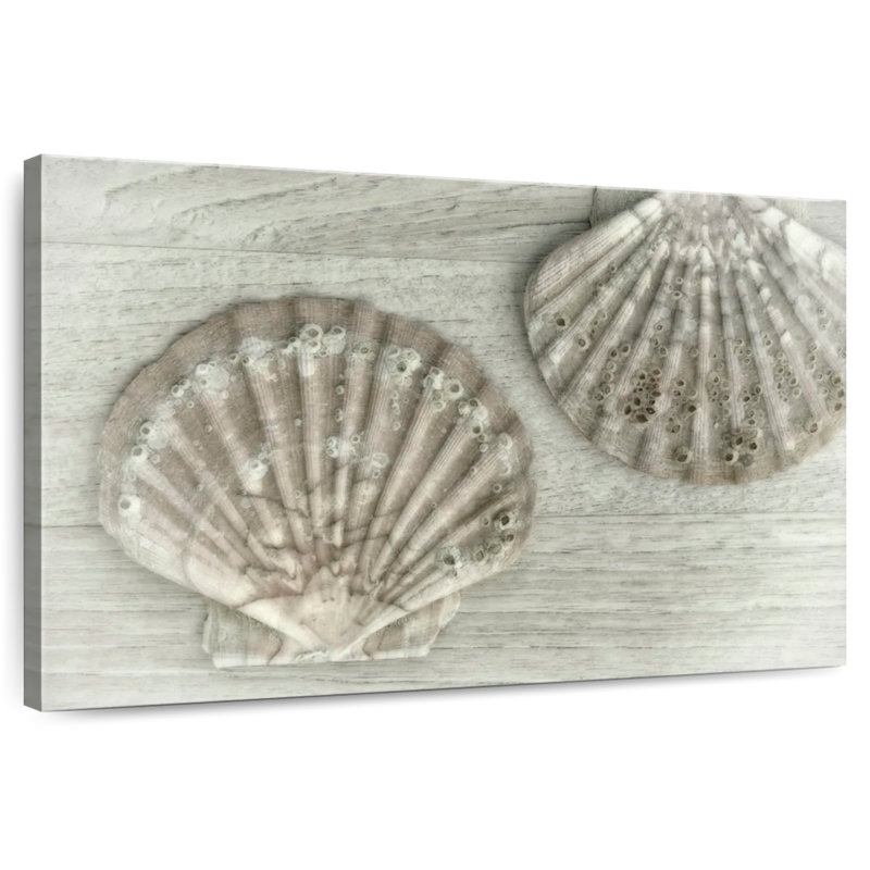 Deux très grandes coquilles de pétoncles Aletra, H 30 po x l 45 po