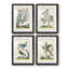 «Pastel Birds I», ensemble de 4 reproductions de cadres photo-1266957733-1266957734