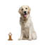 Figurine Juneau Vers le ciel
