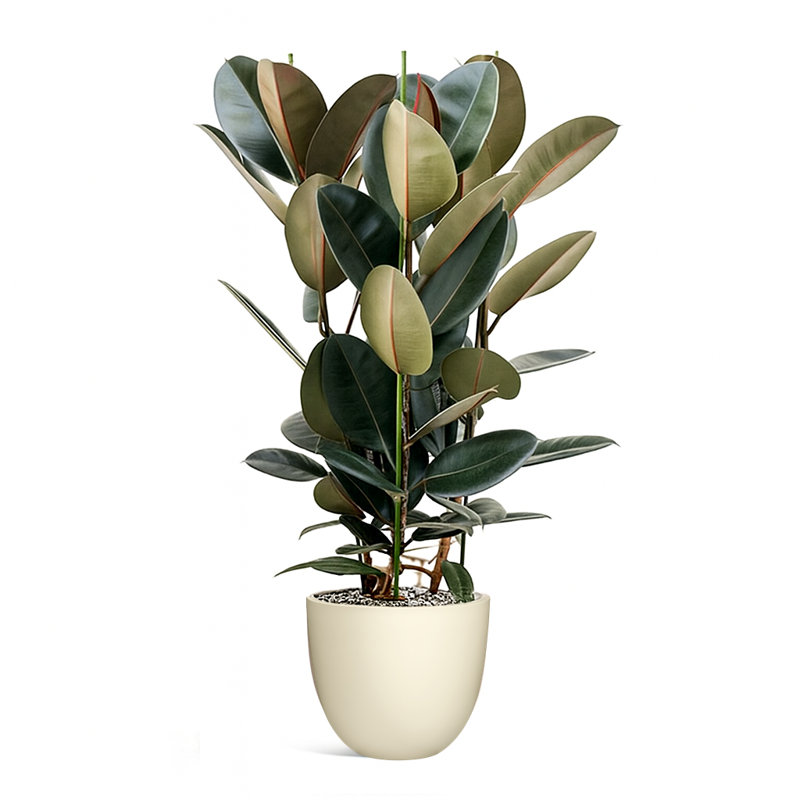 Dorlis Handmade Pot Planter, 10" H x 12" W x 12" D, Linen