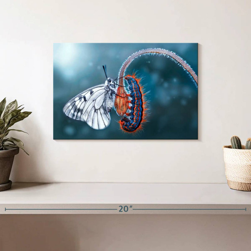 Brampt Butterfly Destiny, 8" H x 12" W