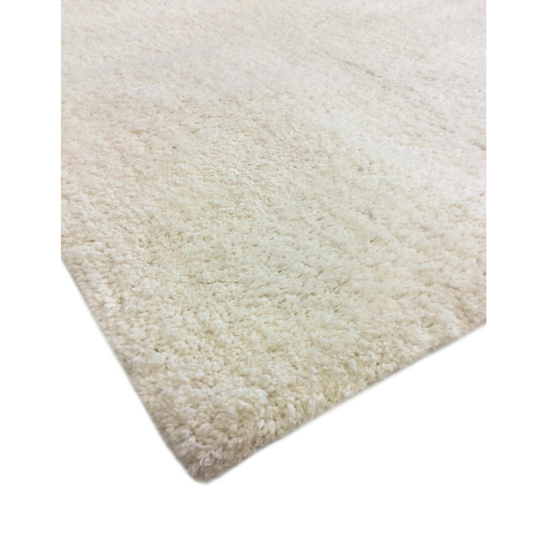 Hand Tufted Indoor Rug