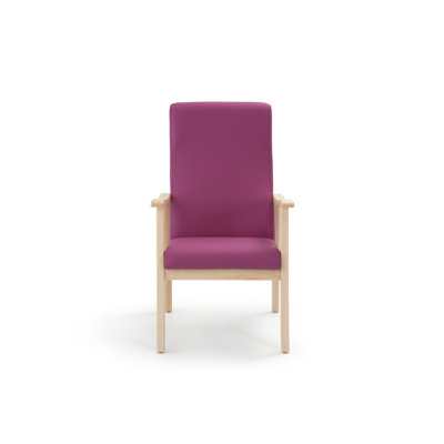 Adelice Upholstered Armchair