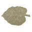 Cotton Area Rug in Gray/Tan