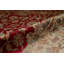 Wool Oriental Area Rug