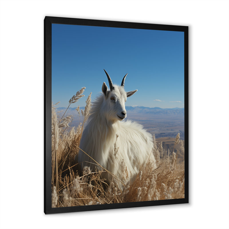 Art mural blanc chèvre solitaire blanc, Cadre simple noir, H 40 po x l 30 po x P 1,5 po
