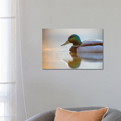 Mallard 1 Piece Wrapped Canvas Wall Art