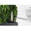 Moneak Planter Box-1392064359-1392064357