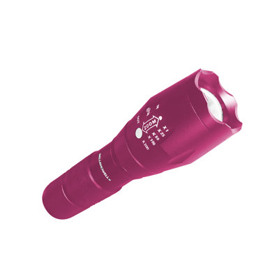 10'' Battery Powered Integrated LED Flashlight