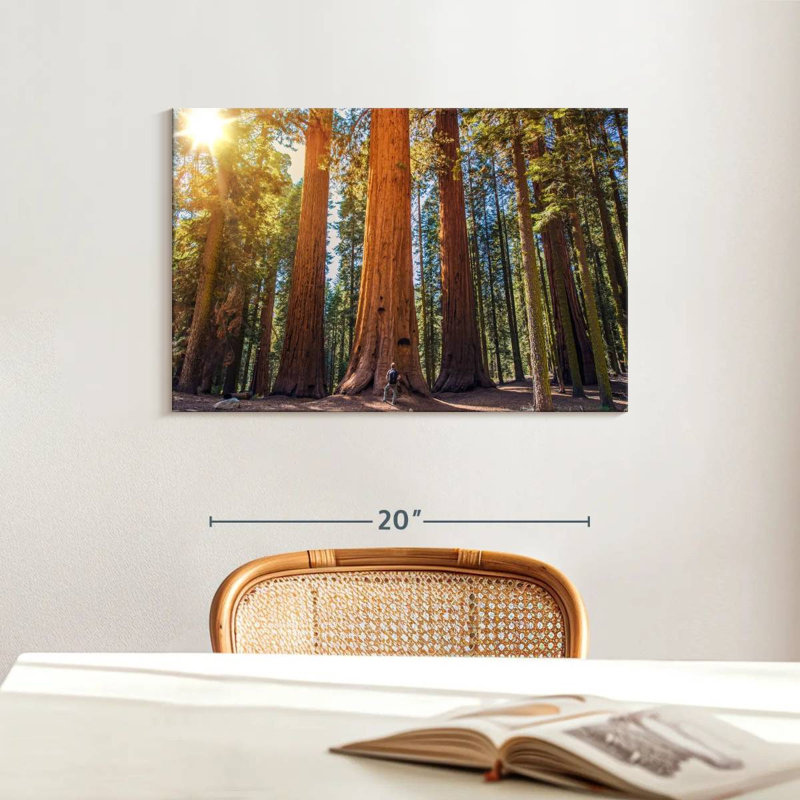 Harnek Giant Sequoia Trees, 16" H x 24" W