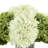 Hydrangea Arrangement-1109643010