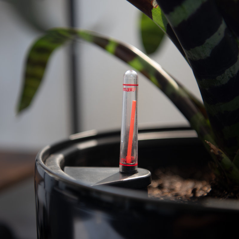 Pot de fleurs en plastique avec réservoir, Noir