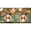 Nappe Jakeway-1314678430
