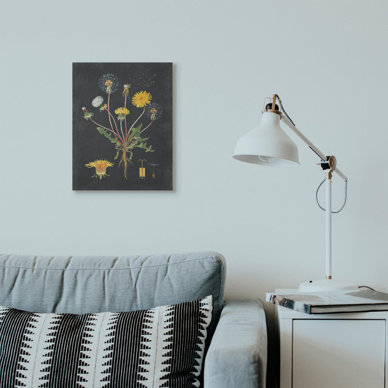 «Botanical Dessin Dandelion On Black Design», impression, Toile tendue, H 20 po x l 16 po