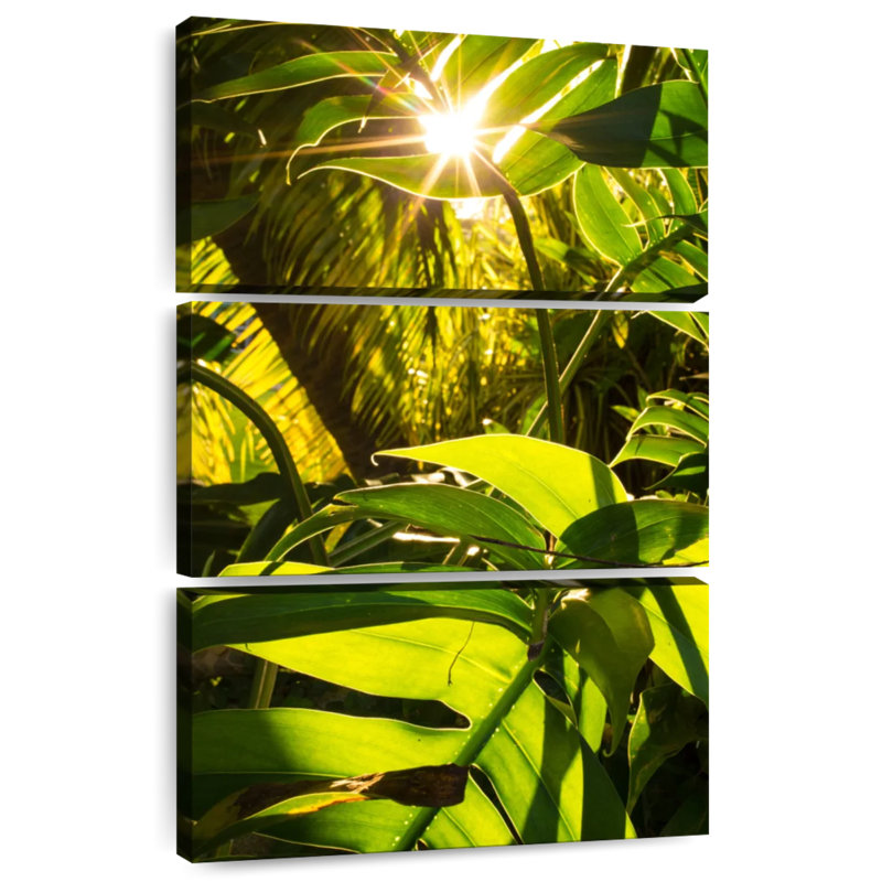 Harnek Sunshiny Green Forest, H 38 po x l 24 po