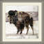 Big Buffalo 2 Print