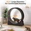 Tapis roulant d'intérieur pour animal de compagnie-106908687-116788008