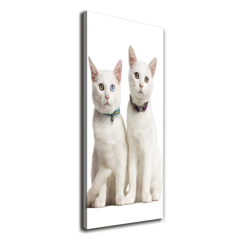 Two White Cats - Wrapped Canvas Print