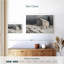Lilie Grantville Farm-107704404