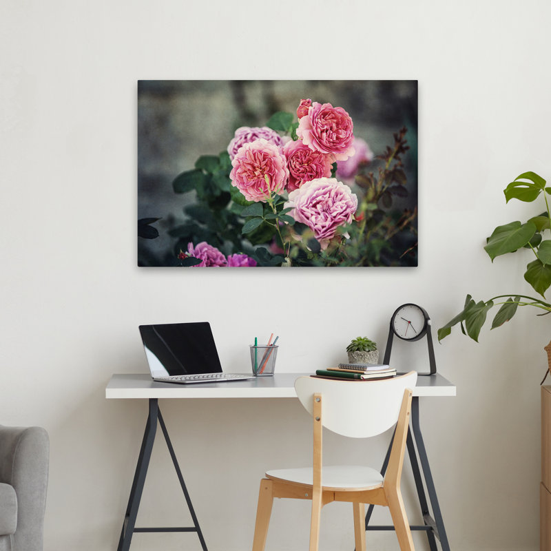 Plantes, fleurs, roses d'Ecosse I, art mural, H 24 po x l 36 po