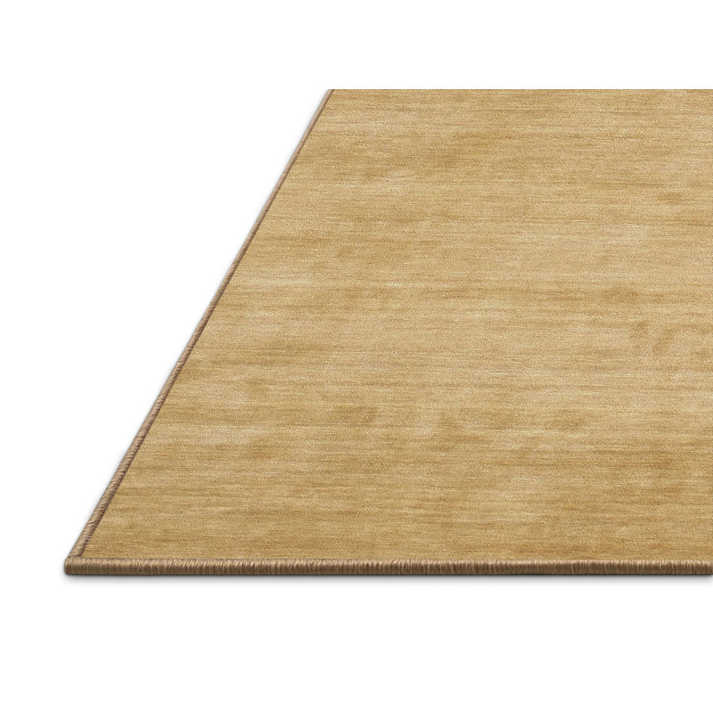 Tapis brun contemporain, Rectangle 2 pi x 5 pi