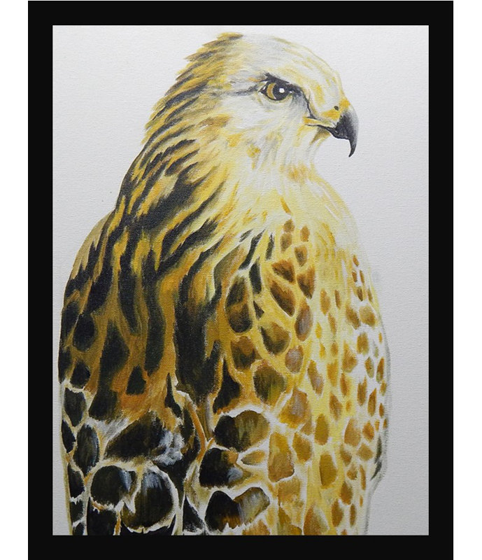 «Hawk», reproduction, H 34,5 po x l 26,5 po, Papier avec cadre noir, Pas de tapis