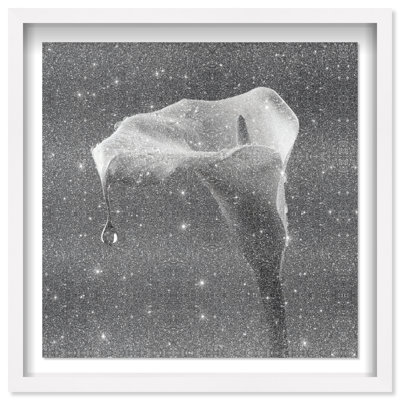 Midnight Rain Framed Graphic Art