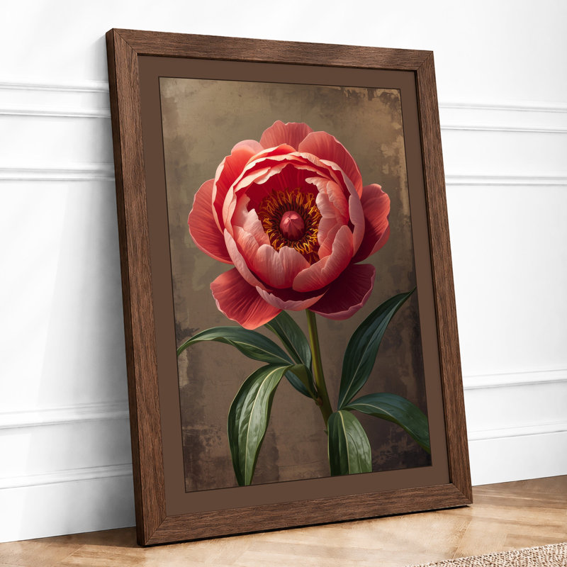 Peony in Repose Botanical - Framed Print, A2 - 59.4 x 42.0 cm, Walnut
