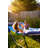 SuperNest™ SL Hammock-70237035