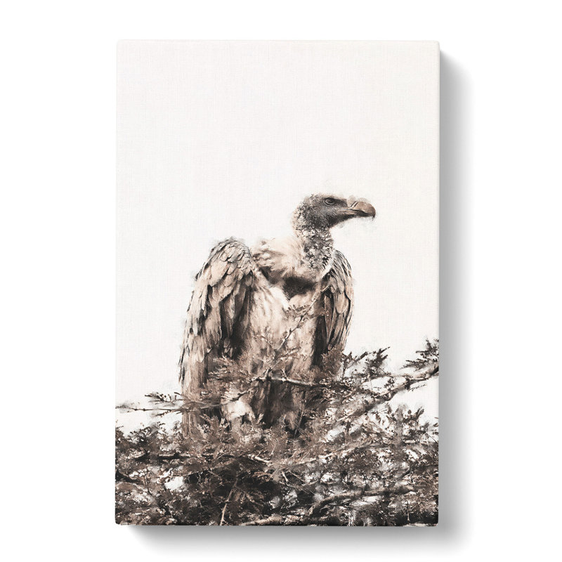 Vulture Vol.1 - Wrapped Canvas, 76cm H x 50cm W x 3cm D
