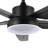 Bedinotti 52'' Ceiling Fan with LED Lights