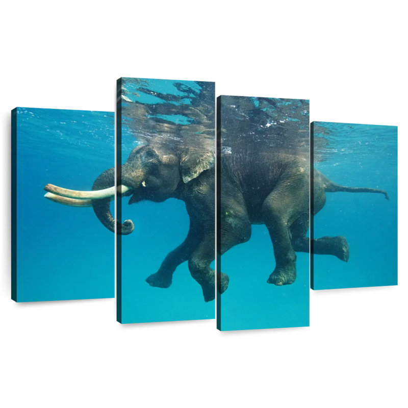 Brampt Swimming Asian Elephant, 22" H x 36" W