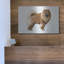 «Chow Chow» par Harro Maass-2064251931