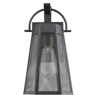 Joann Steel Wall Light