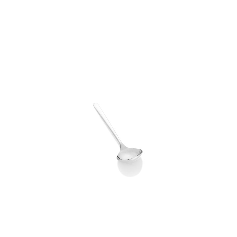 Linea Stainless Steel Ladle, Stainless Steel