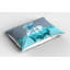 Ambesonne Polar Bear Pillow Sham 2 Pack Fractal Bear Iceberg Pale Blue and Grey-100218920