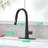 Sleek Black Pull Out Kitchen Faucet with Single Handle and Deck Plate for Modern Convenience and Style
