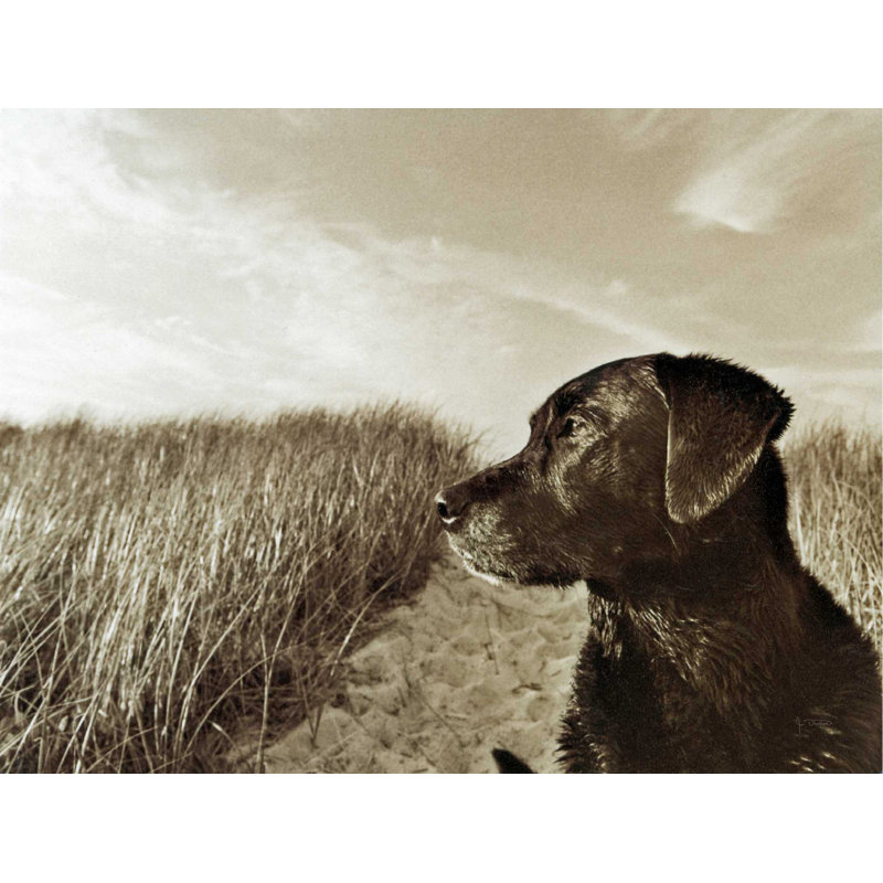 «At the Beach» par Jim Dratfield - reproduction d'art sur toile tendue, H 12 po x l 16 po