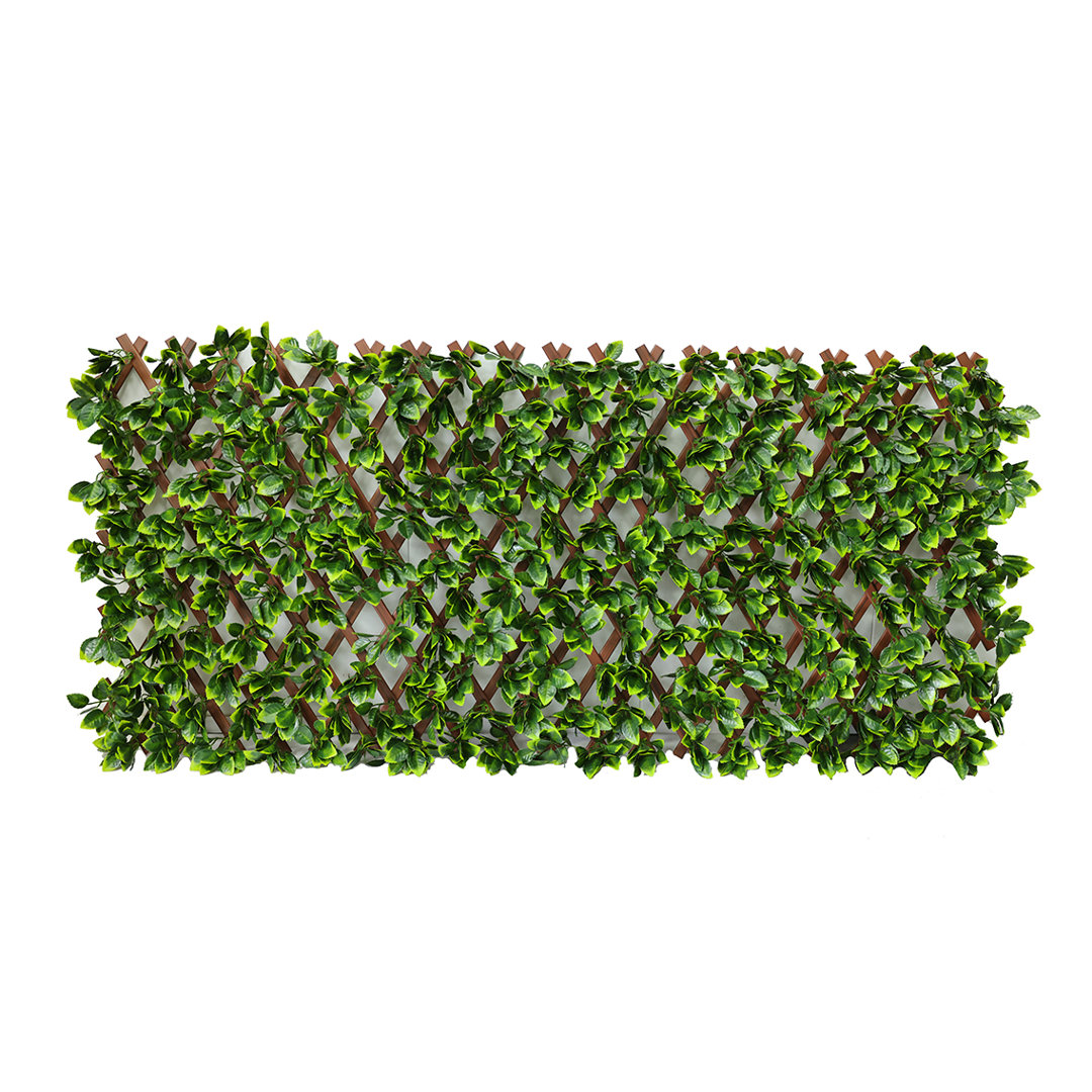 Annalicia 180Cm H x 60Cm W Plastic Expanding Trellis