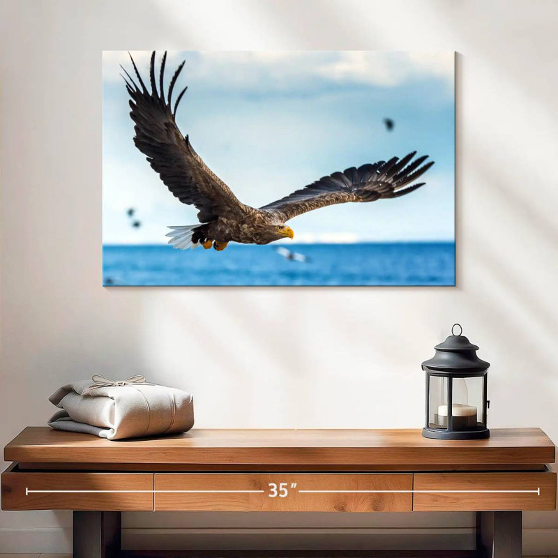 Eagle In Flight, 16" H x 24" W