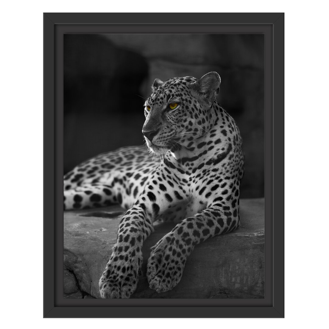 Gerahmtes Wandbild Leopard auf Felsen liegend