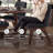 Kendamor Dining Chair (Set Of 2)