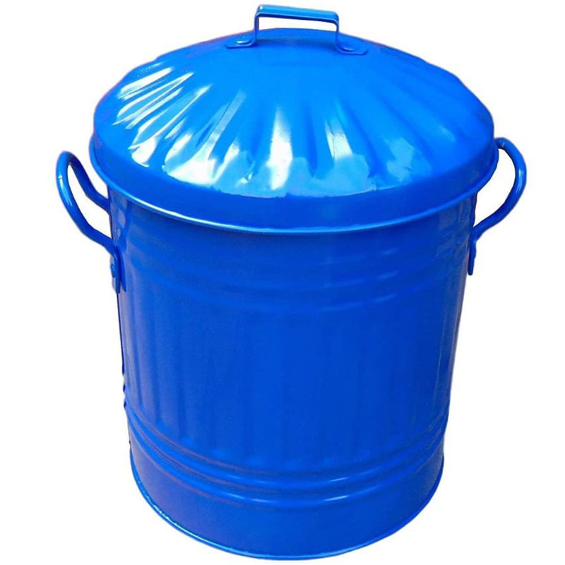 Steel Kitchen Rubbish Bin - 12.98 L, Blue