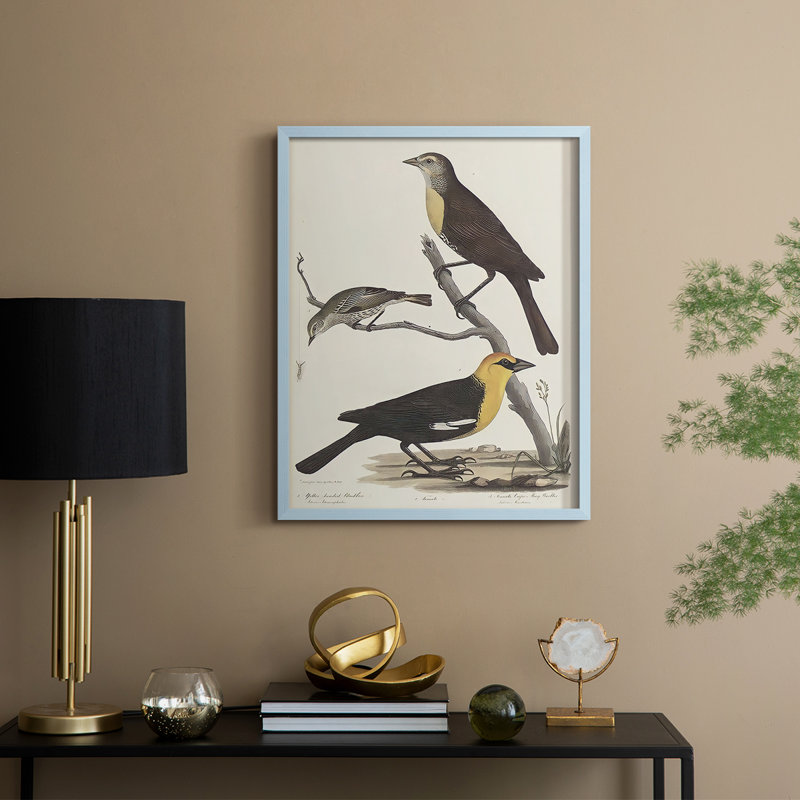 Vintage Animal Print XVIII Framed Print - Solid Wood, Bleu, H 21 po x l 17 po