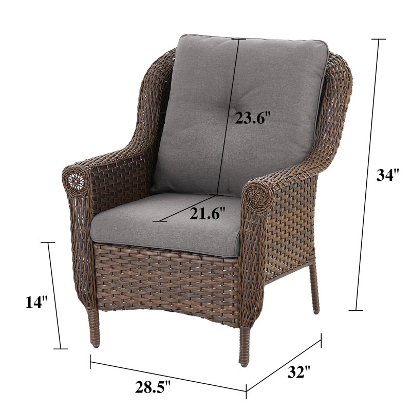 Habbe Outdoor Wicker Patio Chairs Set Of 2 With Olefin Cushions Weather-Resistant, Gray