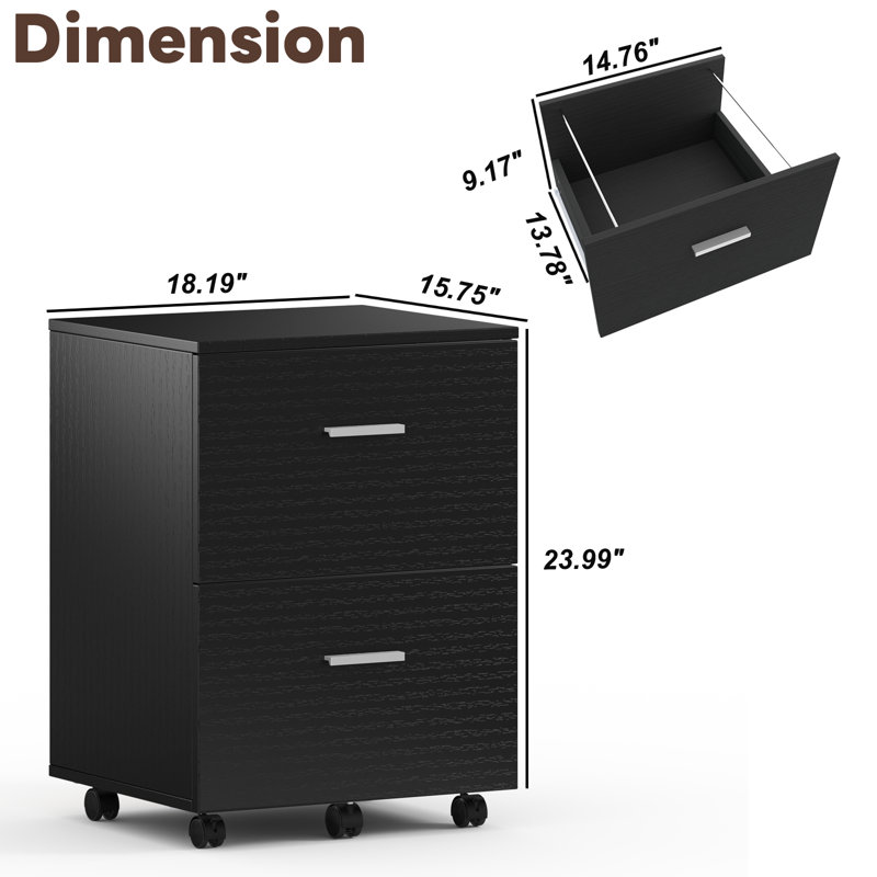 Demetres 2 Drawer Storage Drawer, Black